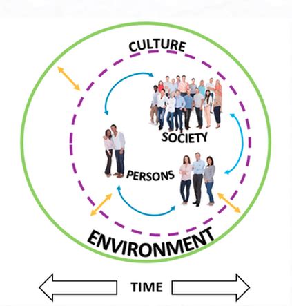 Society And Culture Preliminary Diagram Quizlet