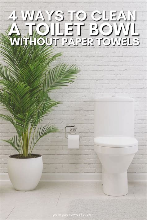The Best Way to Clean a Toilet (without Paper Towels) - Going Zero Waste