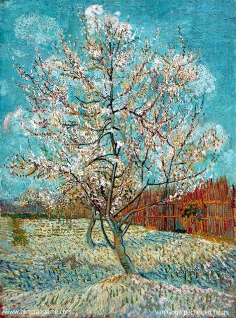 P Cher En Fleurs Vincent Van Gogh Art Van Van Gogh Art Van Gogh