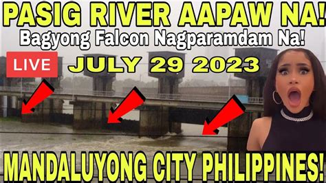 LIVE UPDATE BAGYONG FALCON NAGPARAMDAM NA ILOG PASIG MALAPIT NA UMAPAW