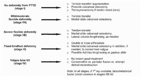 Tendon Disorders | Musculoskeletal Key