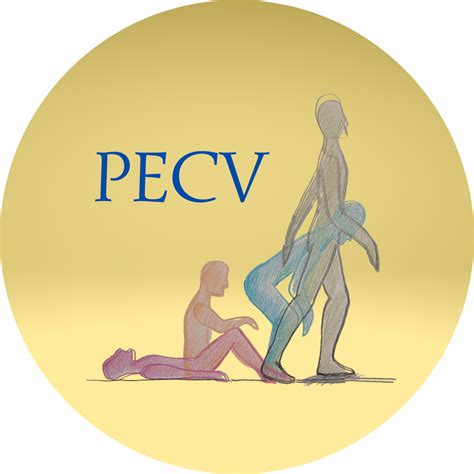 Pecv Programa De Exerc Cios Para Coluna Vertebral Assinatura Anual