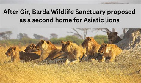 After Gir Barda Wildlife Sanctuary Proposed As A Second Home For