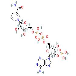 Nadph Structure