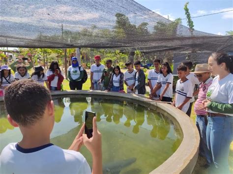 Fazendinha Do Calor Humano Na Agrotins Recebe Alunos E Produtores Surgiu