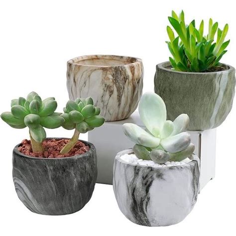 Coolty Pcs Mini Pots De Fleurs En C Ramique Cm Pot De Succulent En