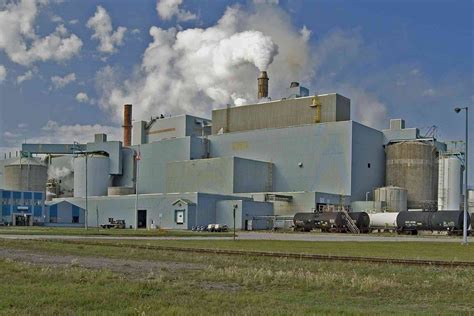 Environment Ministry Revoked Penalties For Terrace Bay Pulp Mill