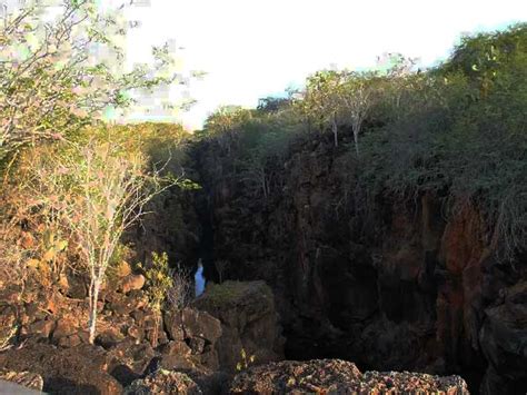 Floreana Island Galapagos Ecuador Tours