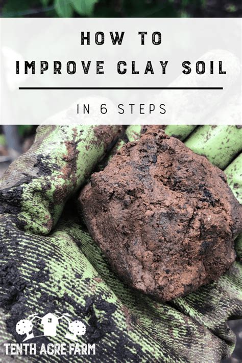 How To Improve Clay Soil In Steps Tenth Acre Farm