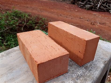 Red Rectangular Wire Cut Brick For Exposed Wall Size In X In X