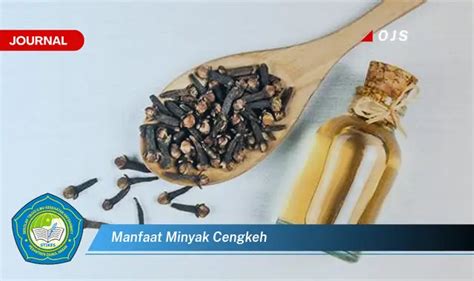 Temukan 6 Manfaat Mengejutkan Minyak Cengkeh Yang Jarang Diketahui E