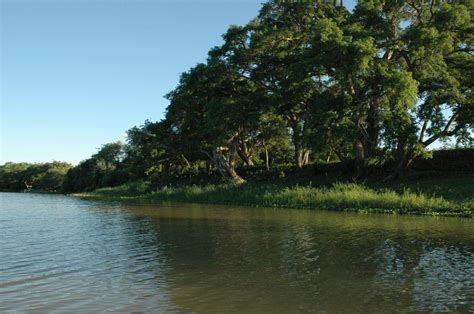 Chaco Argentina Clima Turismo Costumbres Ciudades Y M S