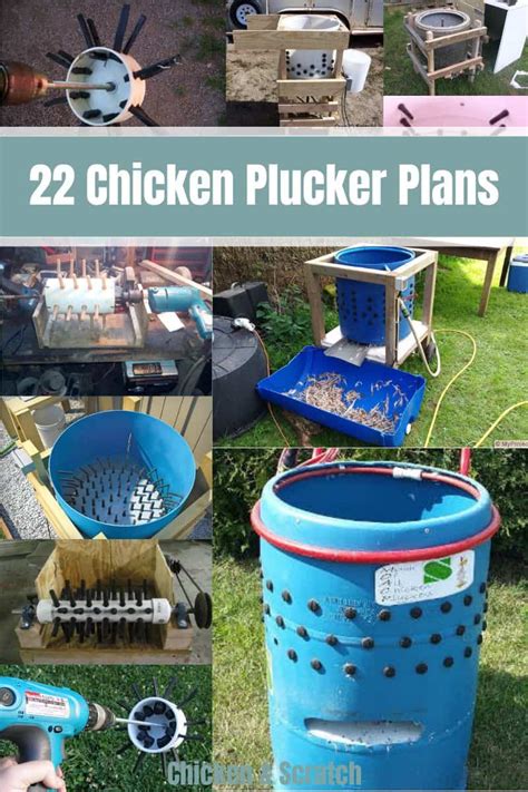 22 Chicken Plucker Plans Make Your Life Easier