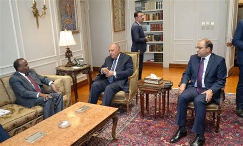 Fm Shoukry Stresses Egypt S Support For Somalia S Endeavors To Preserve