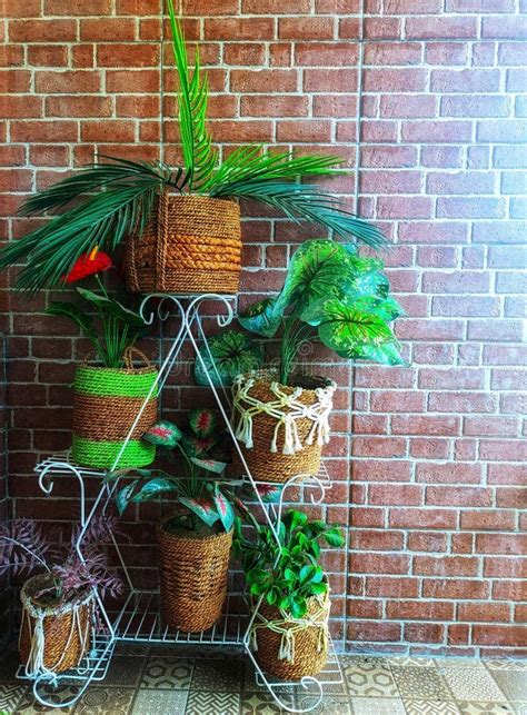 Shelves Made of Steel, Plants Used for Home Decoration.combined with ...