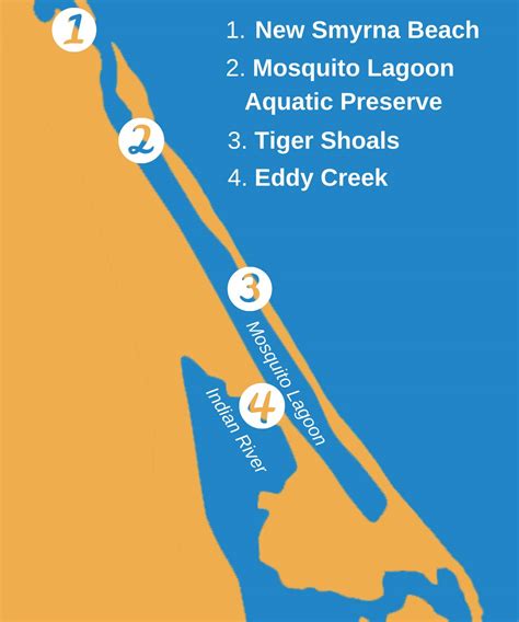 Mosquito Lagoon Fishing Spots - Unique Fish Photo