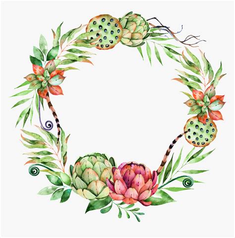 Transparent Succulents Clipart Succulent Watercolor Png Wreath Png