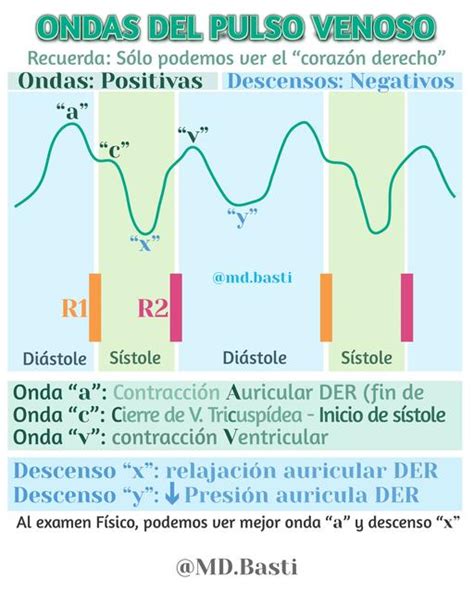 Semio Cario UDocz