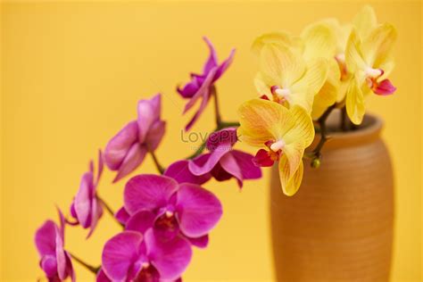 Retro Chinese Style Flower Arrangement Phalaenopsis Picture And HD ...