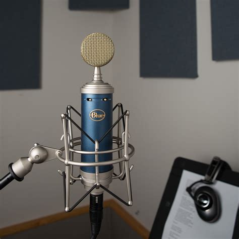 Blue Microphones Bluebird SL Cardioid Condenser Microphone