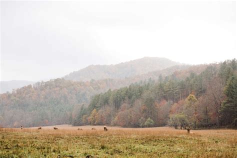 Elope Outdoors Cataloochee Valley