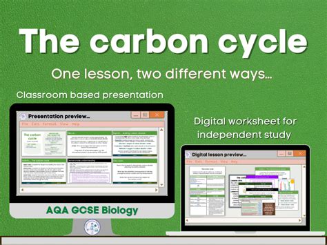 The Carbon Cycle Lesson Bundle Teaching Resources