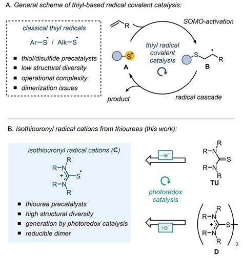 Angew：光氧化还原催化异硫脲基阳离子的生成：共价自由基催化的新平台figure反应chem