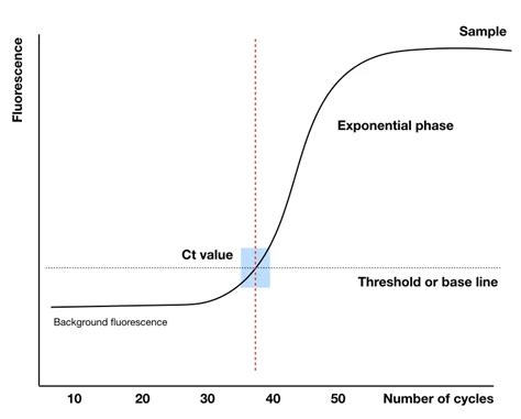 Explaining The Ct Value Threshold Cycle Of QPCR Genetic Education