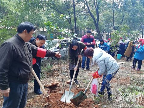 天心区：义务植树 我们在行动 资讯 新湖南