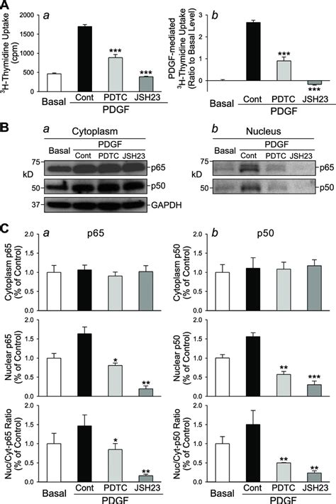 Inhibition Of NF B Nuclear Translocation Suppresses PDGF Induced PASMC