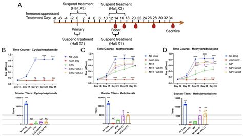 Study Looks At Immunosuppressants And Covid Vaccine Efficacy