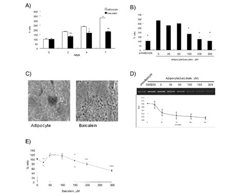 Inhibitory Effect Of Baicalein On Fat Accumulation And FABP MRNA