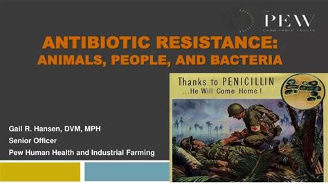 Ppt Antibiotic Resistance Animals People And Bacteria Powerpoint