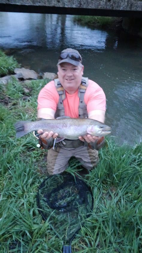 Early May PA Fly Fishing BWO S Drakes Streamers Trout Haven