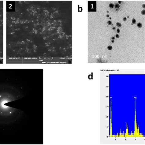 A Sem Images Of Synthesized Agnps A M A M B Tem Images