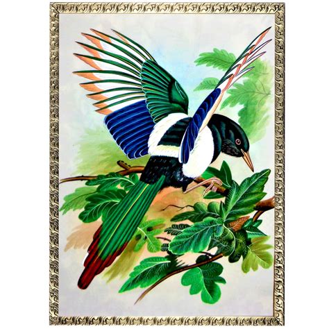 Magpie Bird Painting