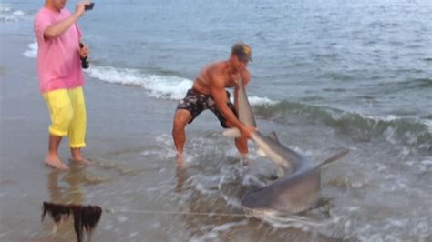 Fisherman Catches Massive Tiger Shark Off Florida Coast ‘never Seen