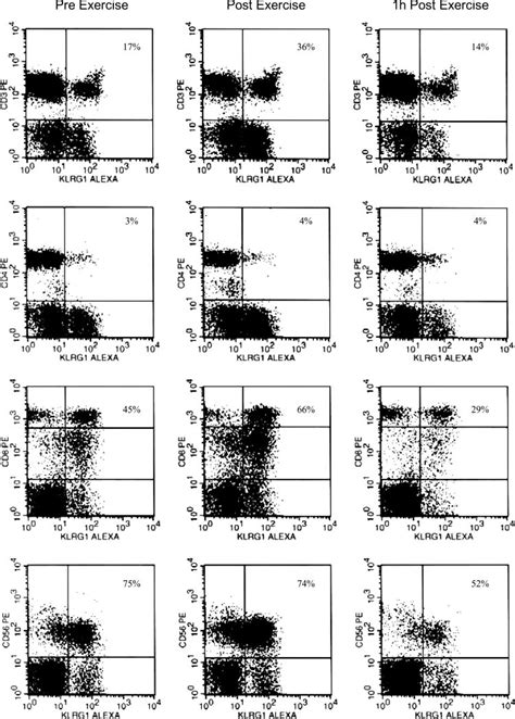 Representative Flow Cytometry Dot Plots Showing The Expression Of Klrg