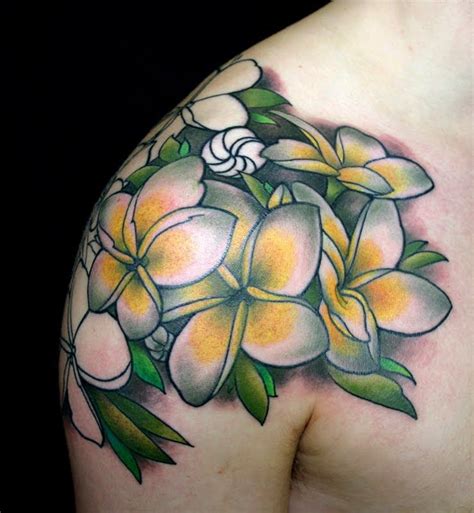 Frangipani Tattoo Bing Images With Images Frangipani Tattoo Tattoos