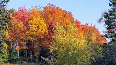 Autumn Colors in Maine - The Martha Stewart Blog