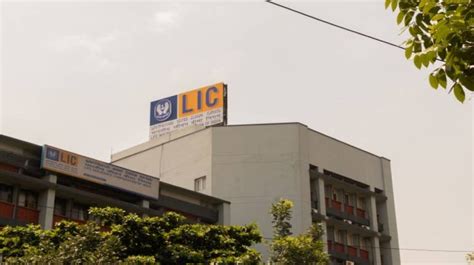 Lic Ipo How Policyholders Can Update Pan And Demat Details—a Step By Step Guide