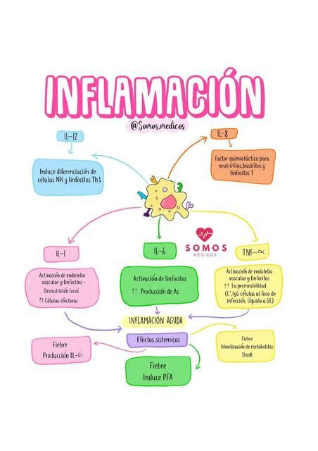 Inflamación Fanpage Somos Médicos uDocz