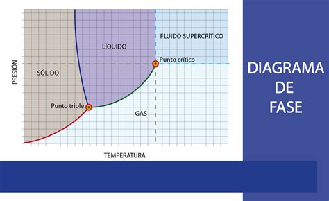 Top 69 Imagen Diagramas De Fase Binarios Y Ternarios Abzlocal Mx