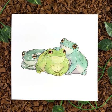 Cute Tree Frog Drawing