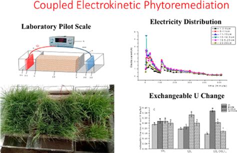 结合电动学和植物修复从污染土壤中去除铀：实验室中试规模研究acs Earth And Space Chemistry X Mol