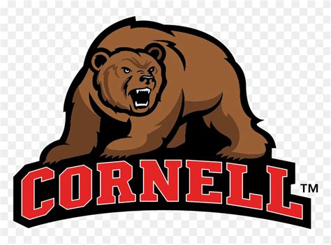 Cornell University Athletics Logo, HD Png Download - 900x900 (#2408626 ...