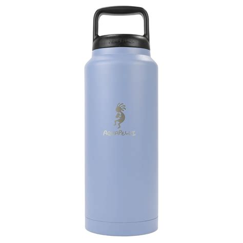 Aquapelli Oz Vacuum Insulated Stainless Steel Water Bottle Wayfair