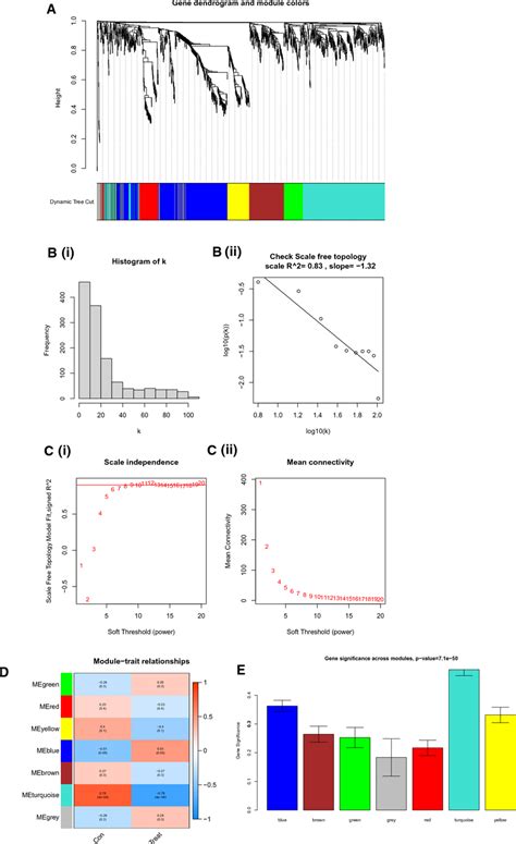 Screening Biomarkers A Weighted Gene Co Expression Network Analysis