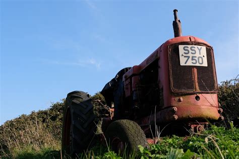 Peste 12 milioane de hectare de terenuri agricole au fost abandonate în