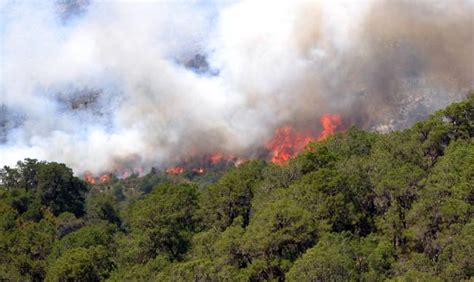 Suman Incendios Forestales En Coahuila El Siglo De Torre N